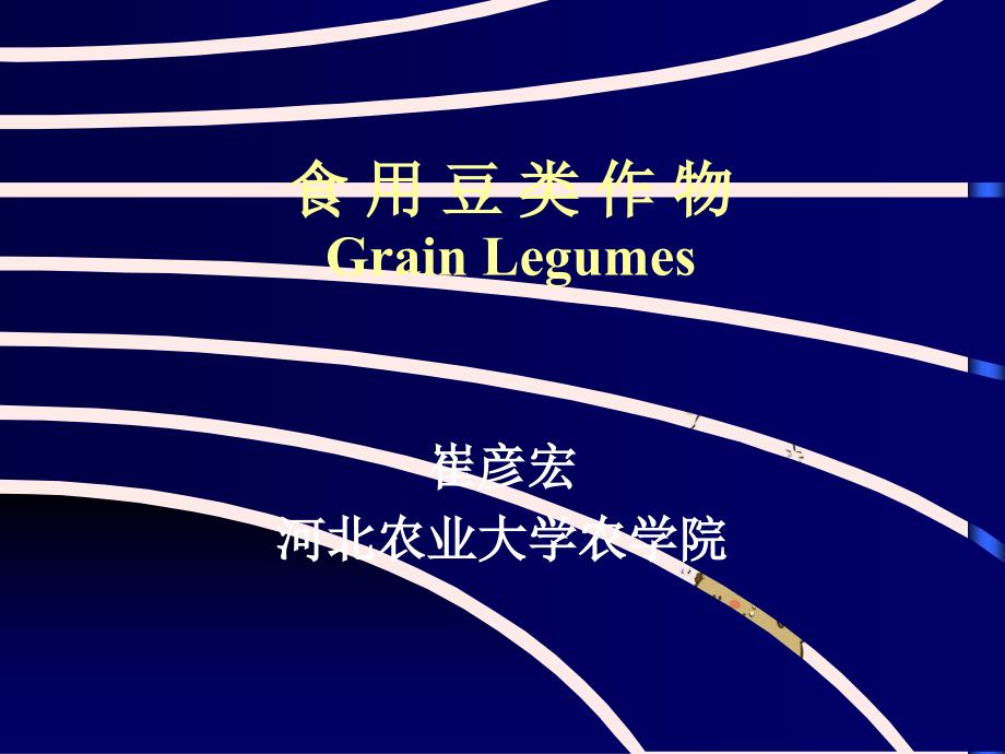 食用豆类作物GrainLegumes_第1页