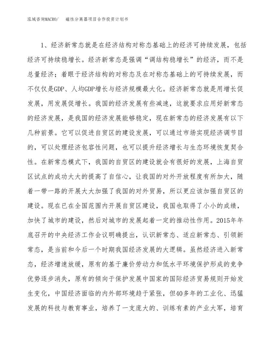 磁性分离器项目合作投资计划书.docx_第5页