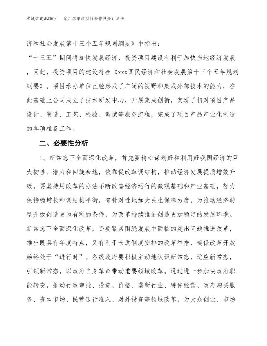 聚乙烯单丝项目合作投资计划书.docx_第5页