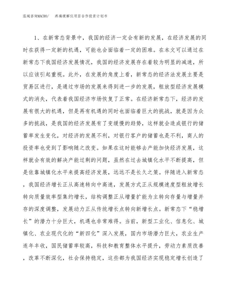 疼痛缓解仪项目合作投资计划书.docx_第5页