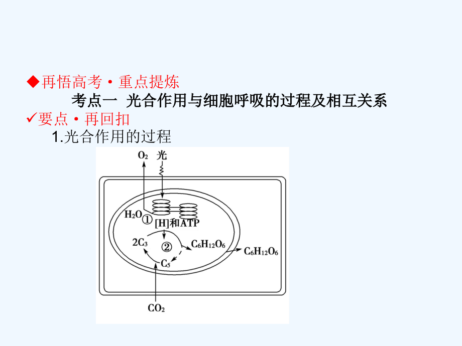 2018届高考生物二轮复习 第二单元 生命系统的代谢基础 专题二 两大基础代谢——光合作用和呼吸作用_第3页