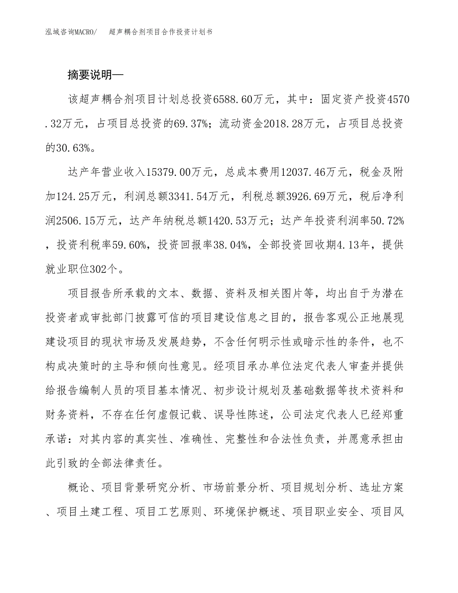 超声耦合剂项目合作投资计划书.docx_第2页