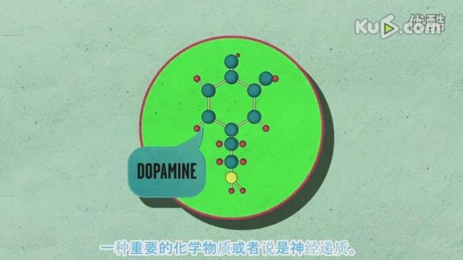 人体奥秘之神奇的大脑资料_第3页