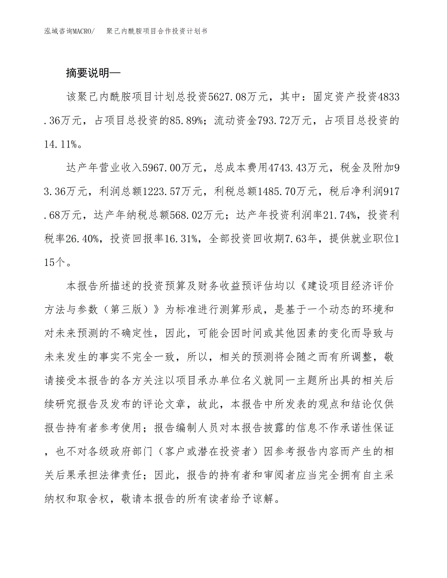 聚己内酰胺项目合作投资计划书.docx_第2页