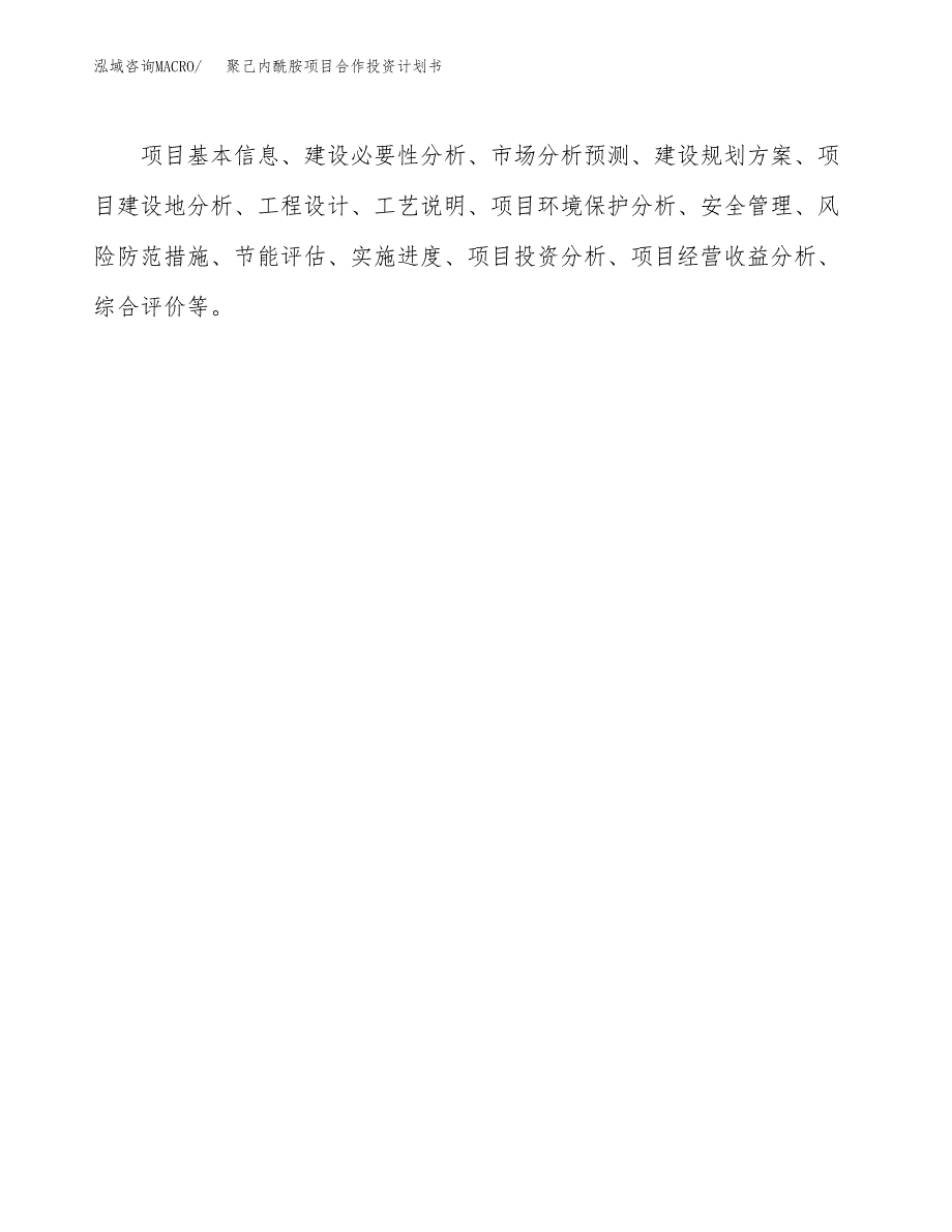 聚己内酰胺项目合作投资计划书.docx_第3页