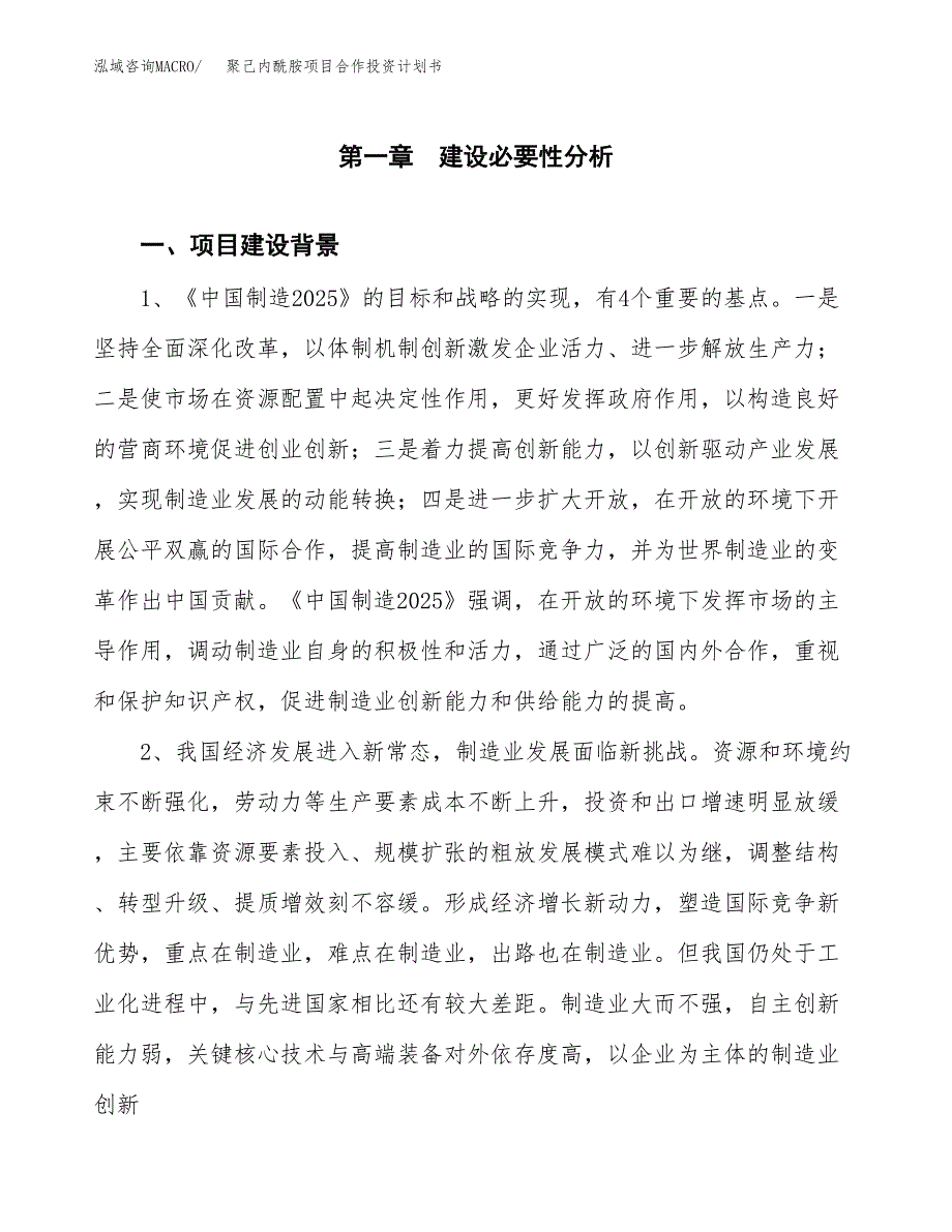 聚己内酰胺项目合作投资计划书.docx_第4页