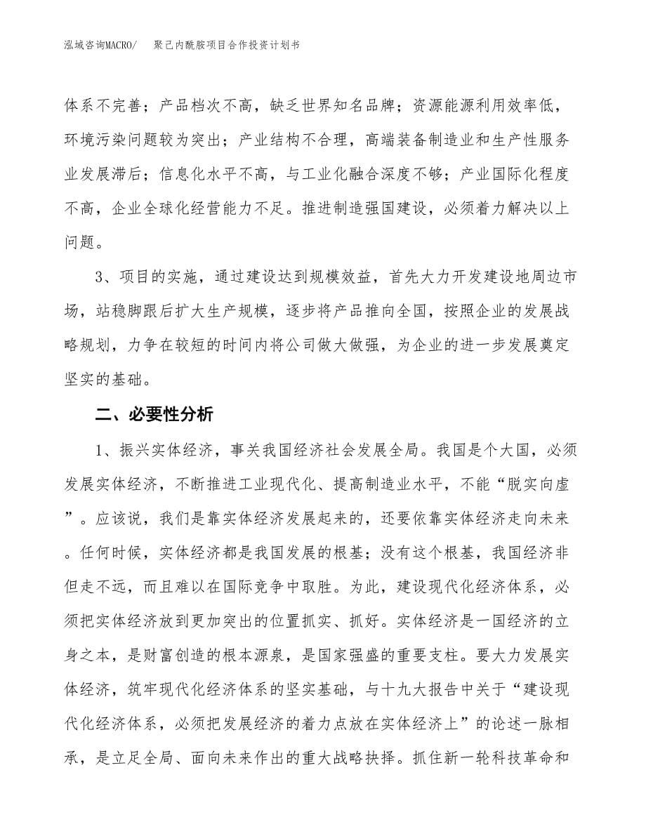 聚己内酰胺项目合作投资计划书.docx_第5页