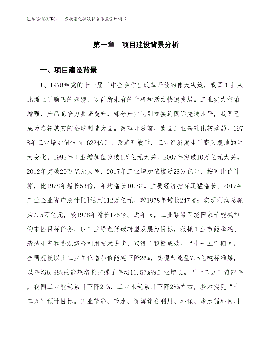 粉状泡化碱项目合作投资计划书.docx_第4页