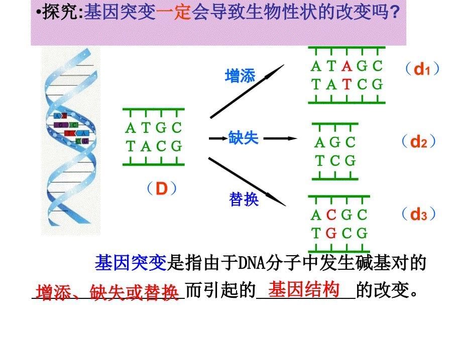 基因突变和基因重组专项复习_第5页