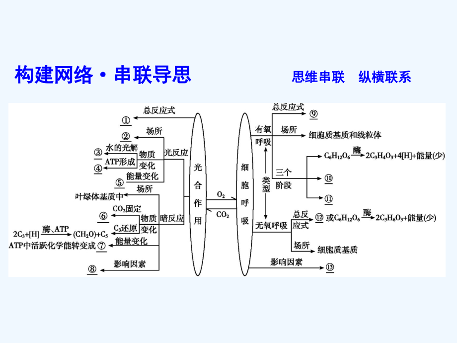 2018届高考生物二轮复习 小专题4 细胞呼吸和光合作用_第4页