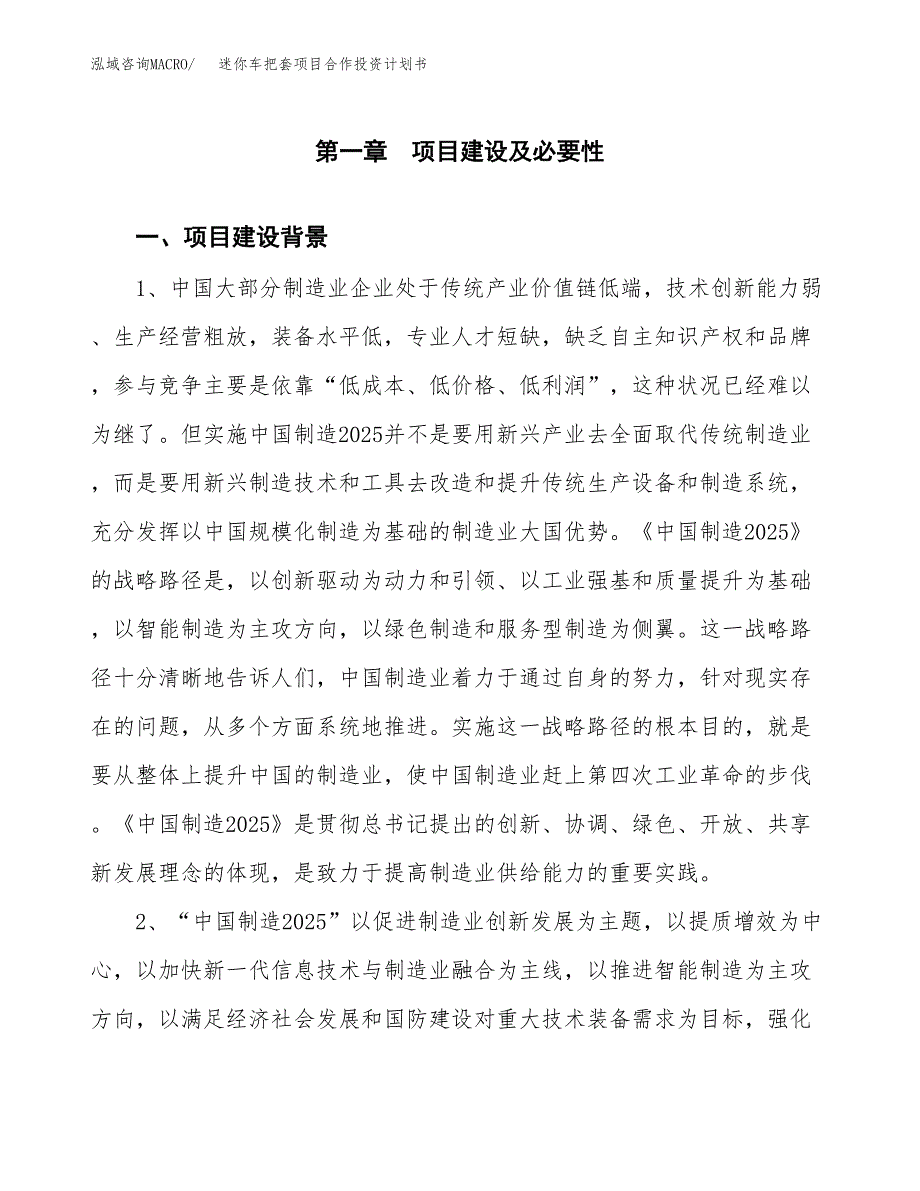 迷你车把套项目合作投资计划书.docx_第3页