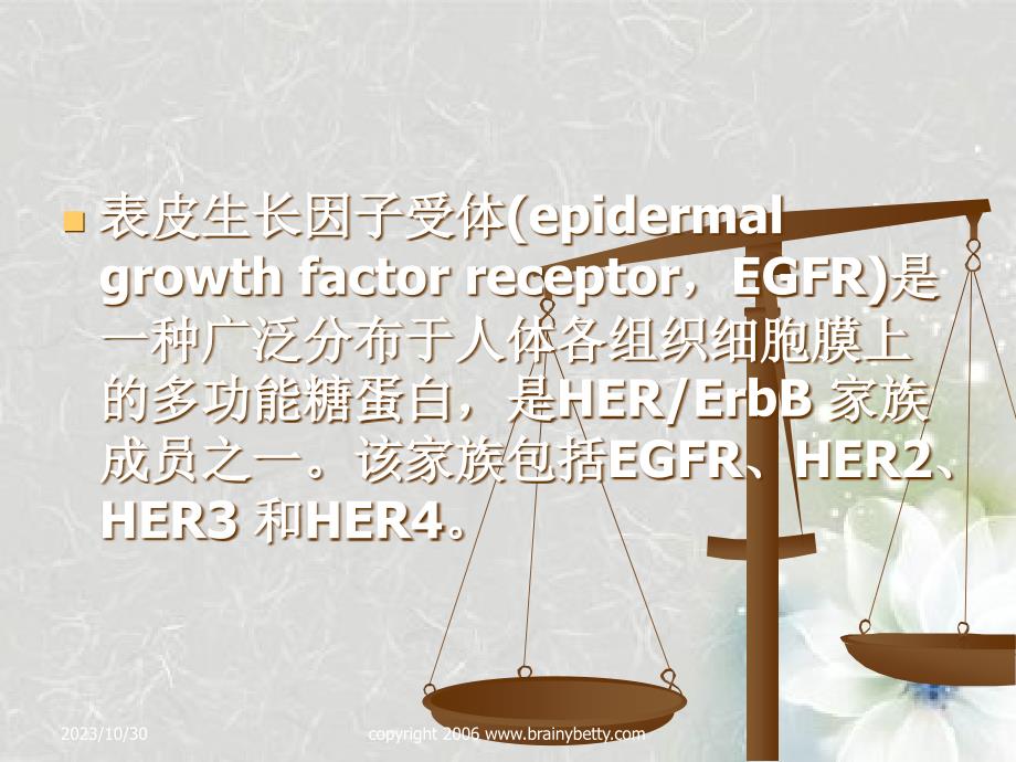 以EGFR为靶点抗肿瘤药物_第2页