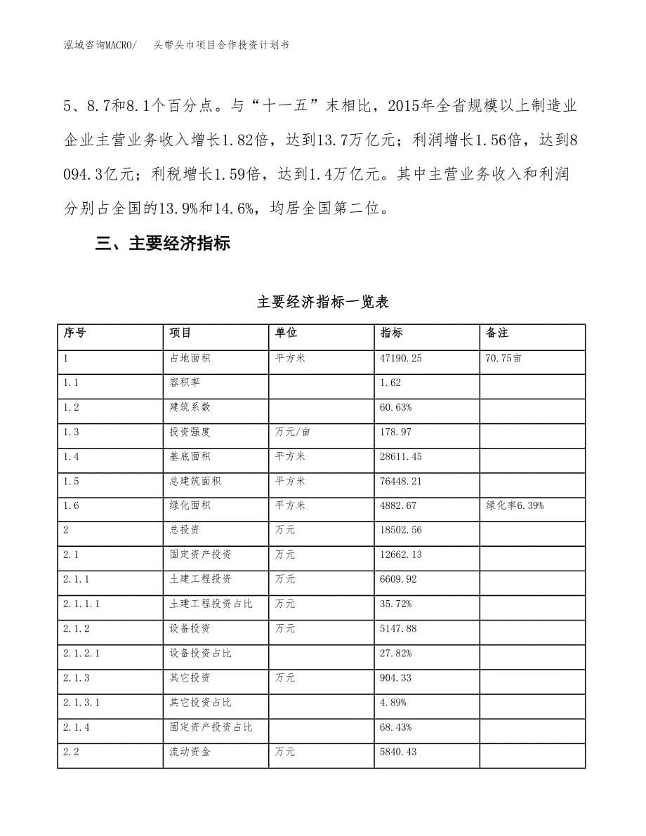 头带头巾项目合作投资计划书（样本）.docx_第5页