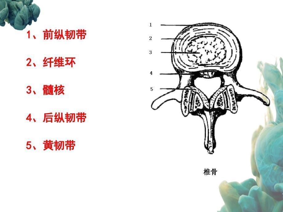 人体解剖学和组织胚胎学型考第次形考作业_第5页