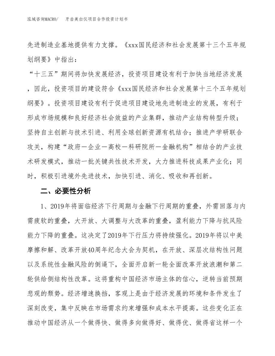 牙齿美白仪项目合作投资计划书.docx_第5页