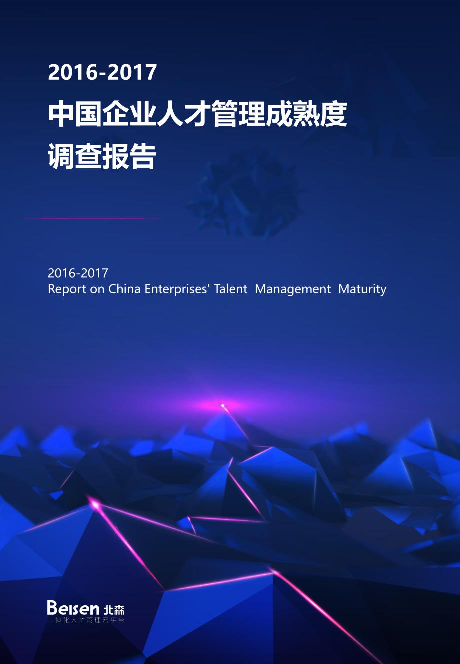 2016-2017人才管理成熟度调查报告资料_第1页