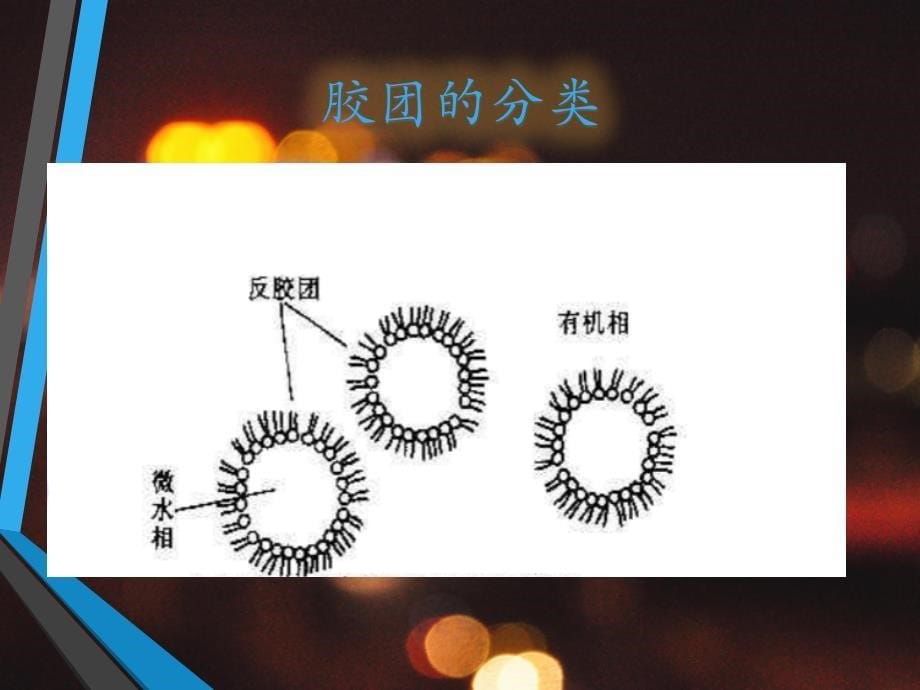 反胶团萃取分离技术讲述_第5页