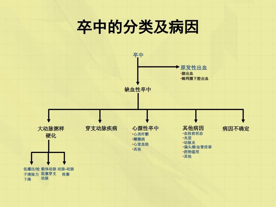 缺血性卒中诊断分型及他汀治疗措施_第5页