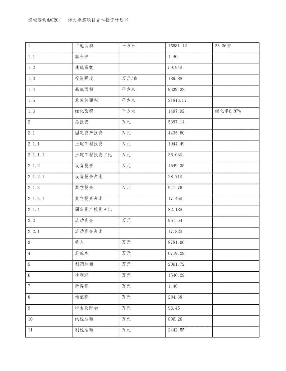 弹力橡筋项目合作投资计划书（样本）.docx_第5页