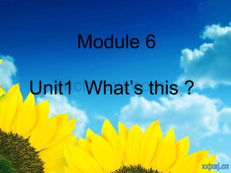 一年级英语上册 module 6 unit 1 what’s this2 外研版（一起）_第5页