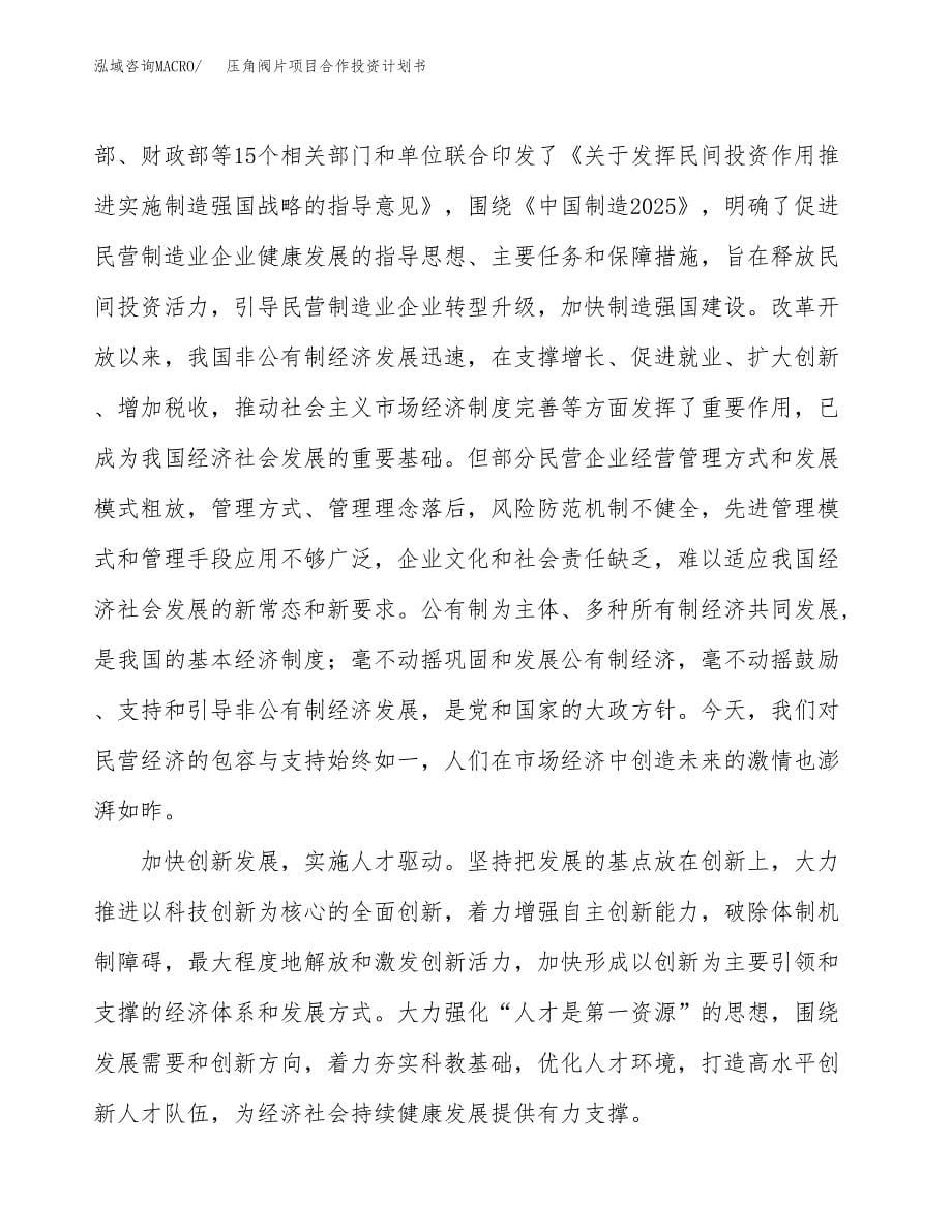 压角阀片项目合作投资计划书（样本）.docx_第5页