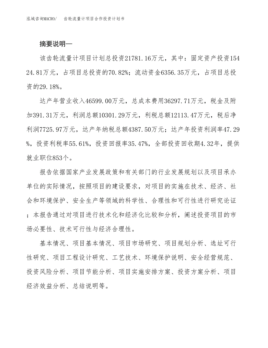 齿轮流量计项目合作投资计划书.docx_第2页