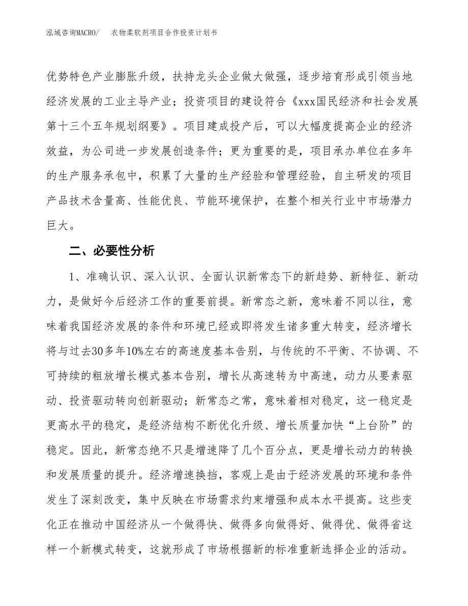 衣物柔软剂项目合作投资计划书.docx_第5页