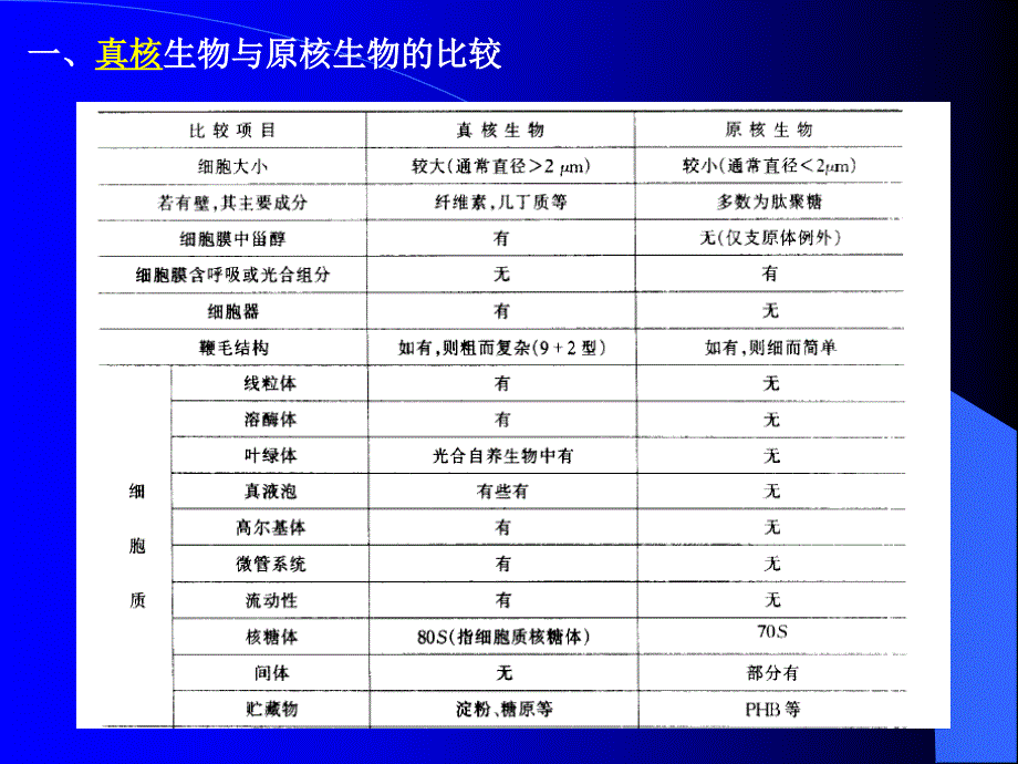 真核微生物的细胞形态、内部构造和表现功能_第4页