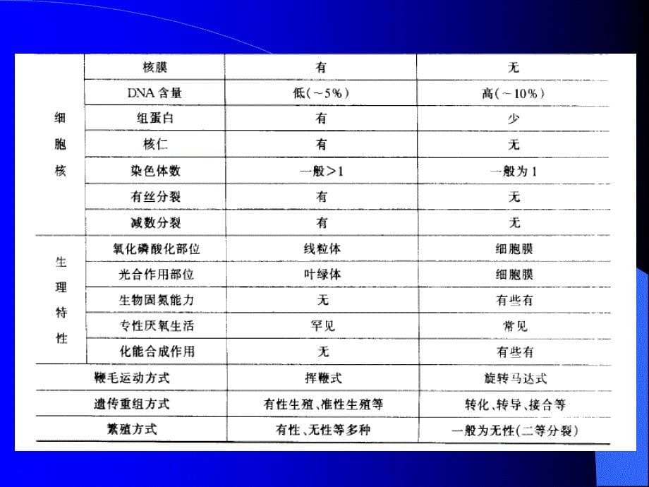 真核微生物的细胞形态、内部构造和表现功能_第5页