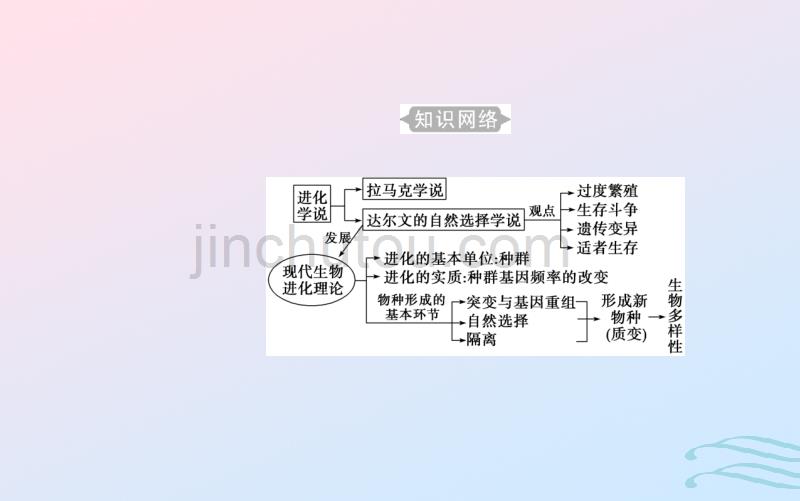 2019高中生物学业水平复习专题十一生物的进化考点1现代生物进化理论的主要内容_第2页