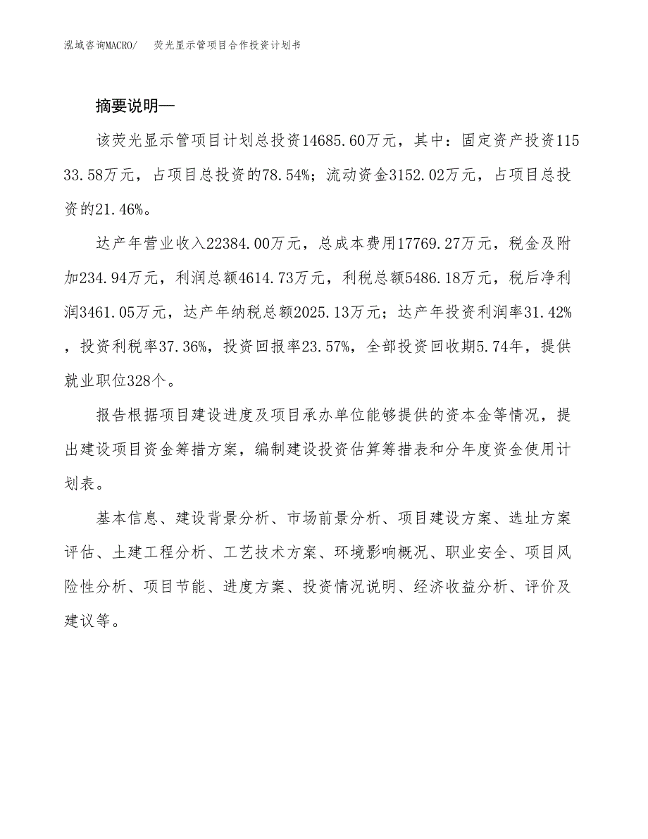 荧光显示管项目合作投资计划书.docx_第2页