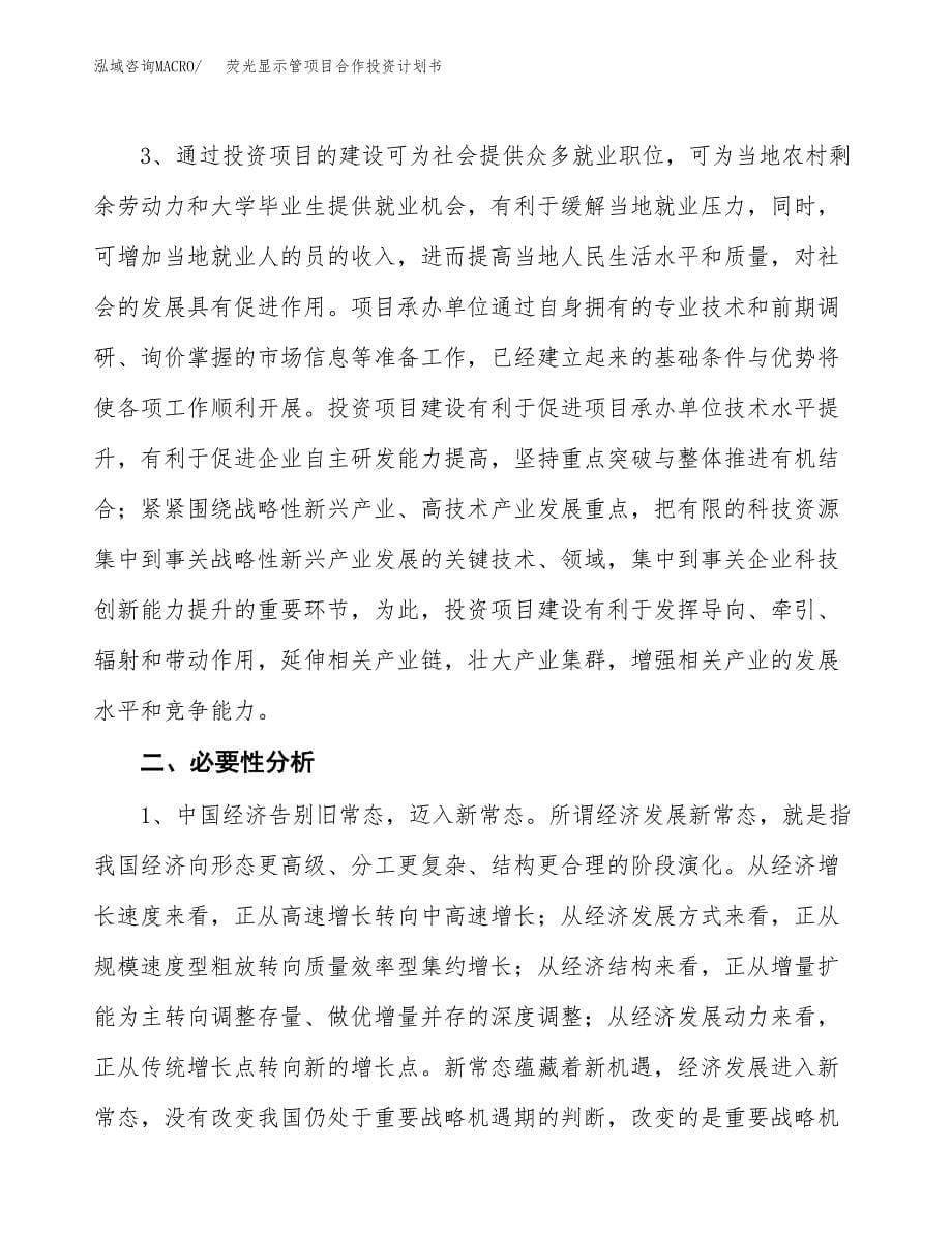 荧光显示管项目合作投资计划书.docx_第5页