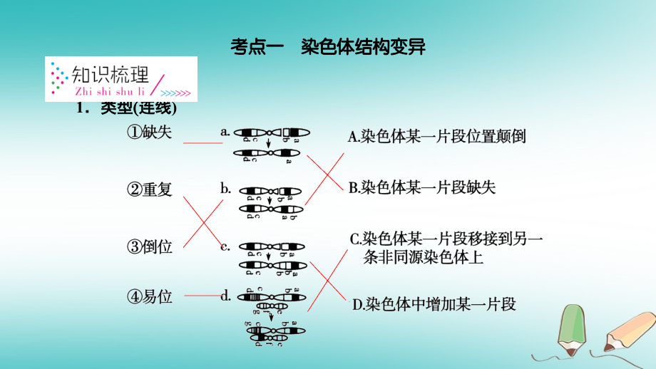 2019高考生物一轮总复习第三单元生物的变异、育种和进化第2讲染色体变异必修2_第4页