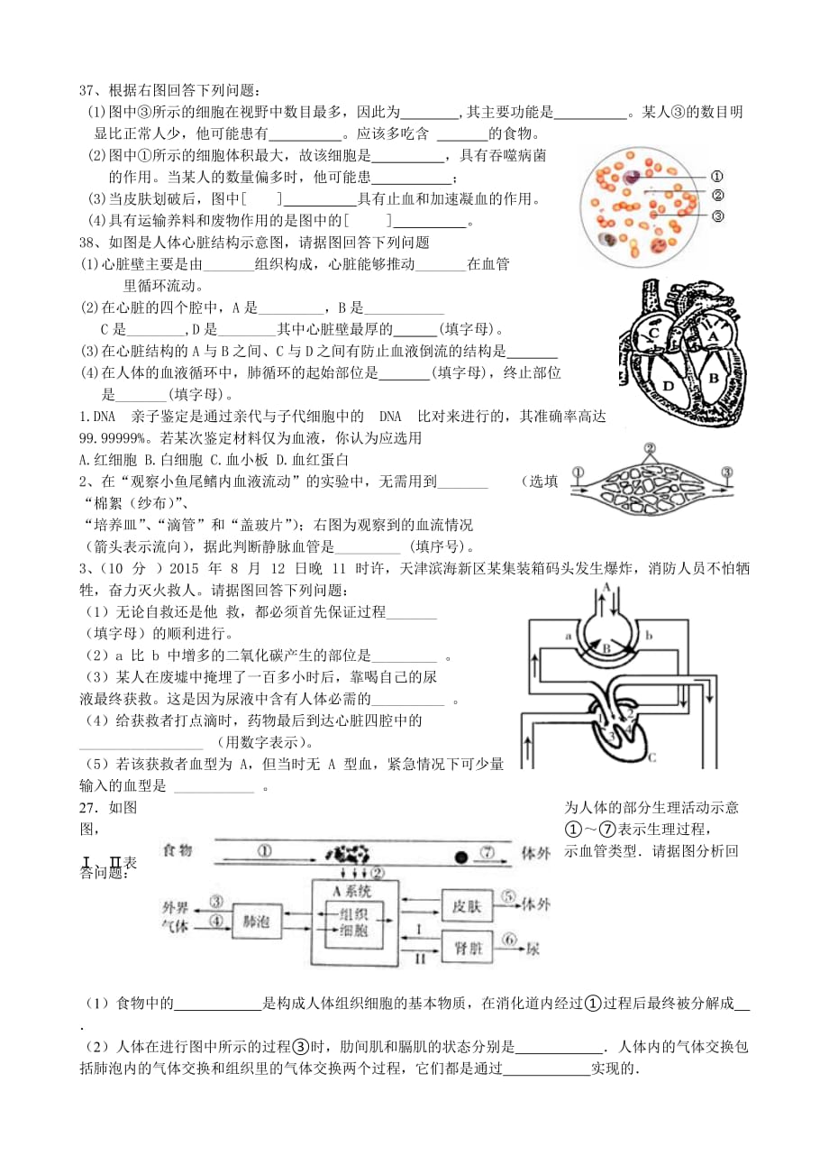 人体内物质的运输练习题资料_第3页