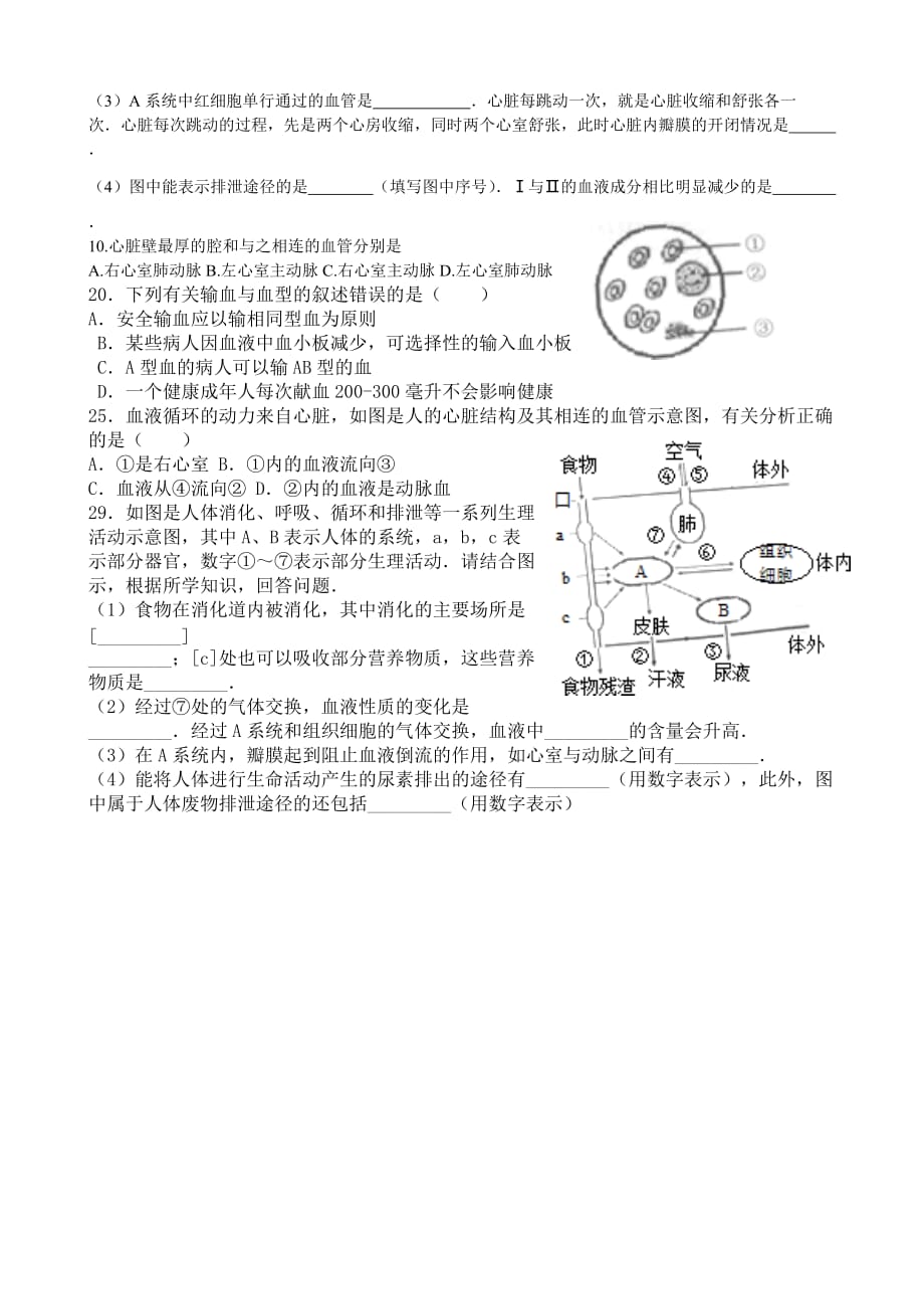 人体内物质的运输练习题资料_第4页