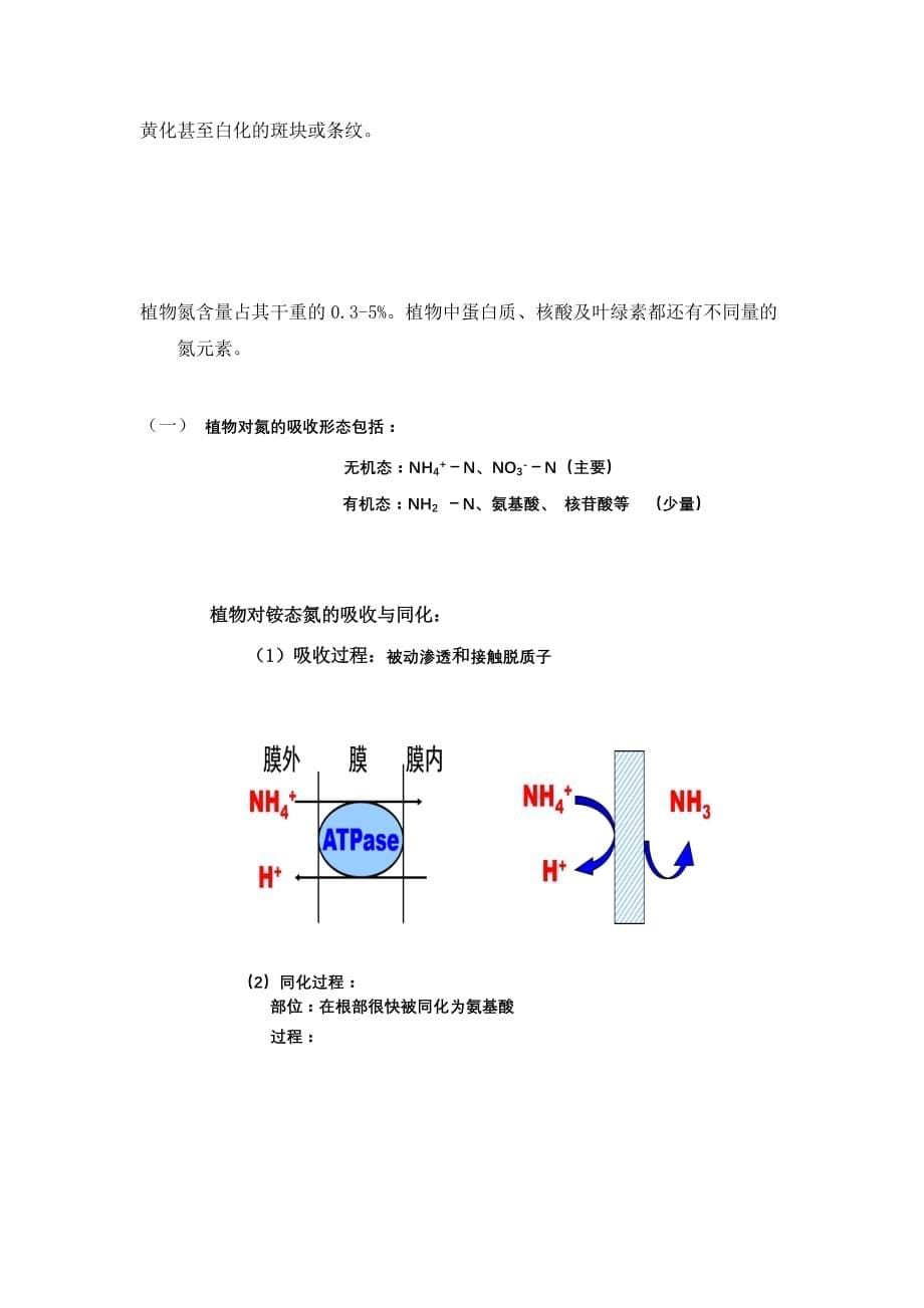 土壤中氮素转化过程及植物吸收方式土壤部分初稿 资料_第5页