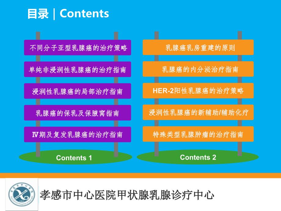 2013年乳腺癌NCCN及St.Gallen指南解读_第3页