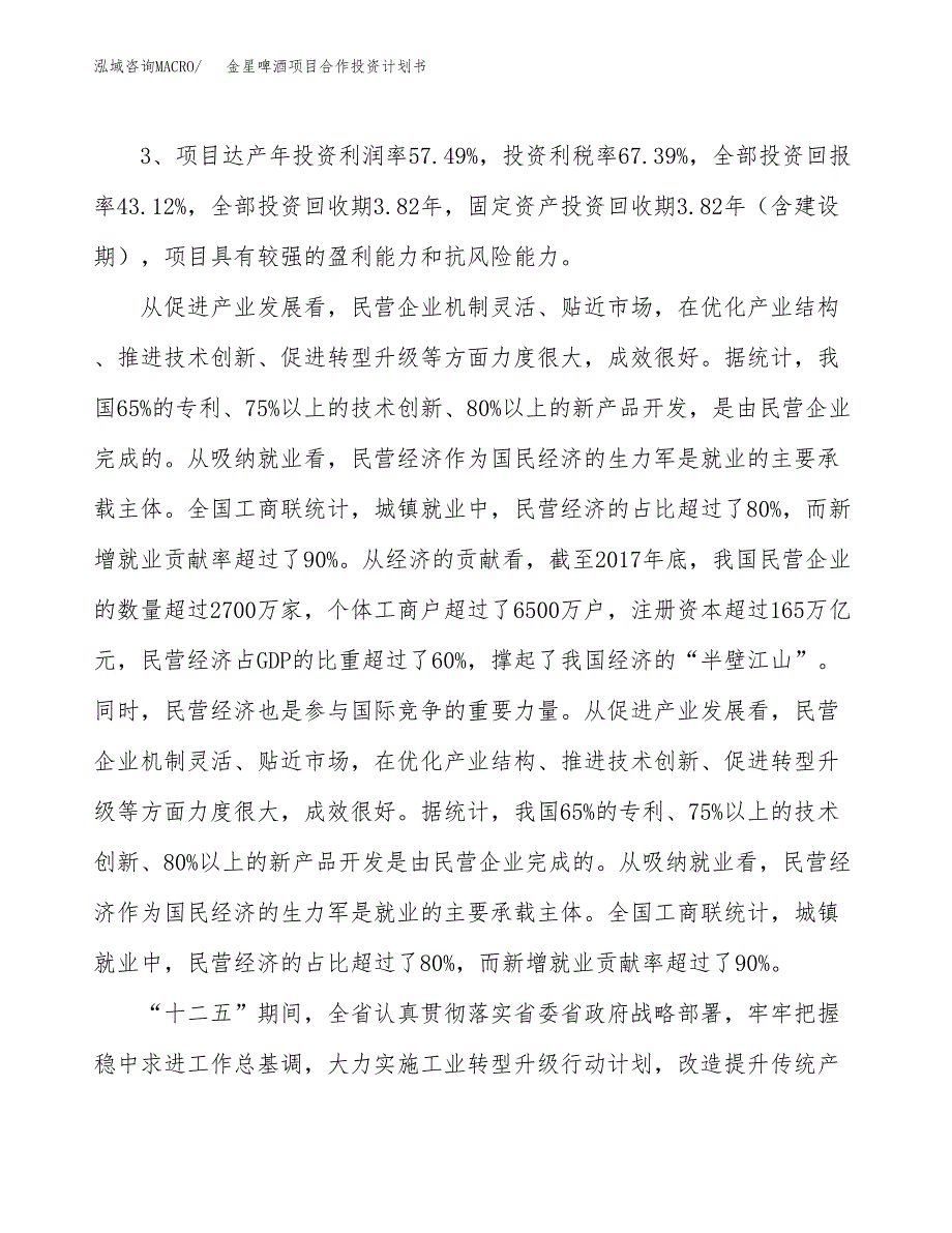 金星啤酒项目合作投资计划书（样本）.docx_第4页