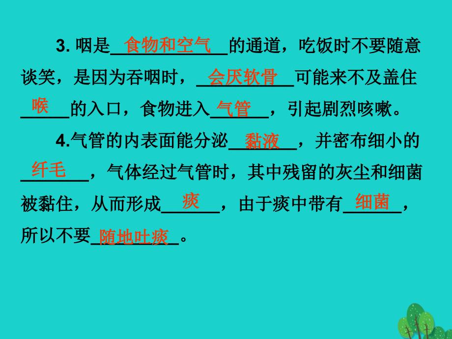 广东省2015-2016七年级生物下册 第3章 第一节 呼吸道对空气的处理导练新人教版_第4页