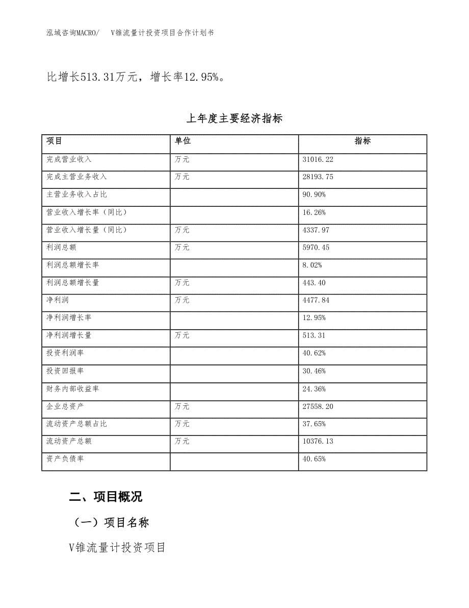 V锥流量计投资项目合作计划书.docx_第5页