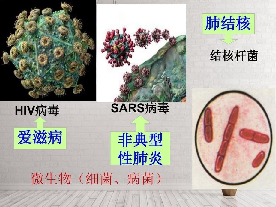 指导培训资料传染病苏教版_第5页