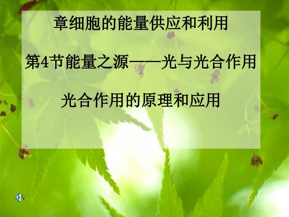 江苏省启东市高中生物 第五章 细胞的能量供应和利用 5.4 能量之源—光与光合作用 光合作用的原理和应用 新人教版必修1_第1页