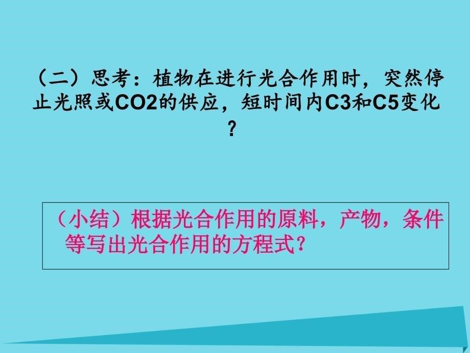 江苏省启东市高中生物 第五章 细胞的能量供应和利用 5.4 能量之源—光与光合作用 光合作用的原理和应用 新人教版必修1_第5页