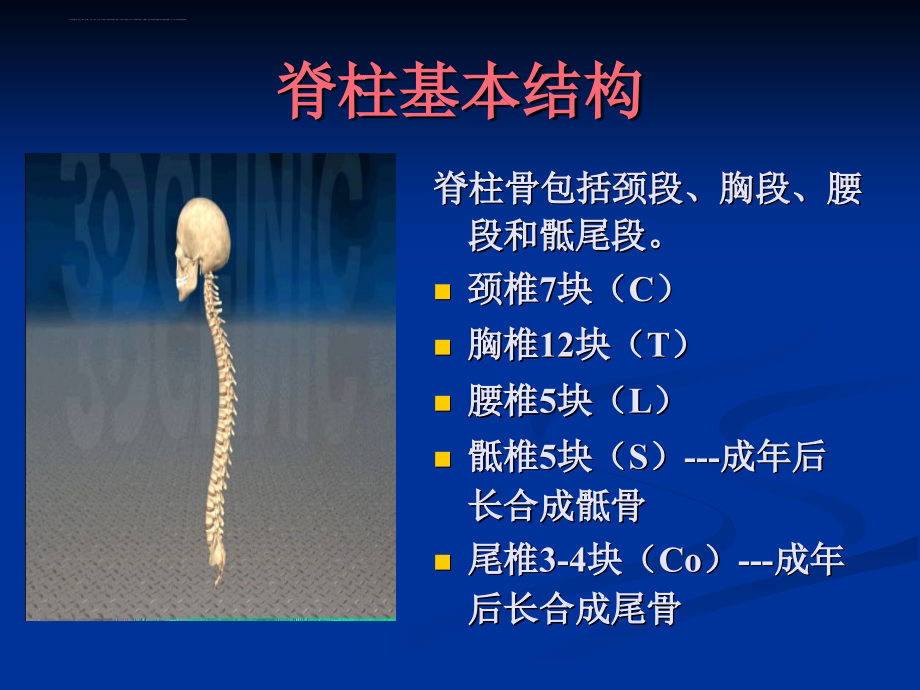 L1椎体爆裂骨折的1[1]_第2页