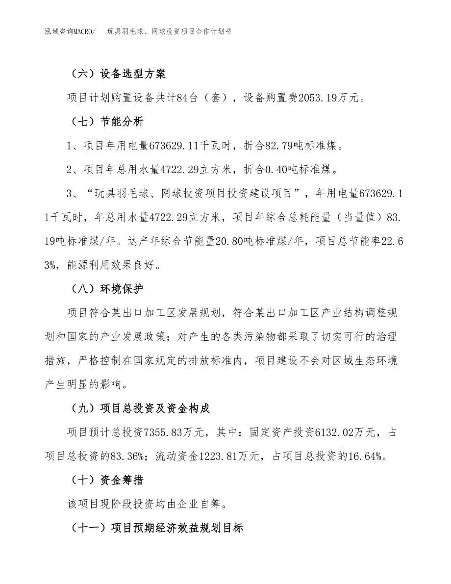 玩具羽毛球、网球投资项目合作计划书.docx_第5页