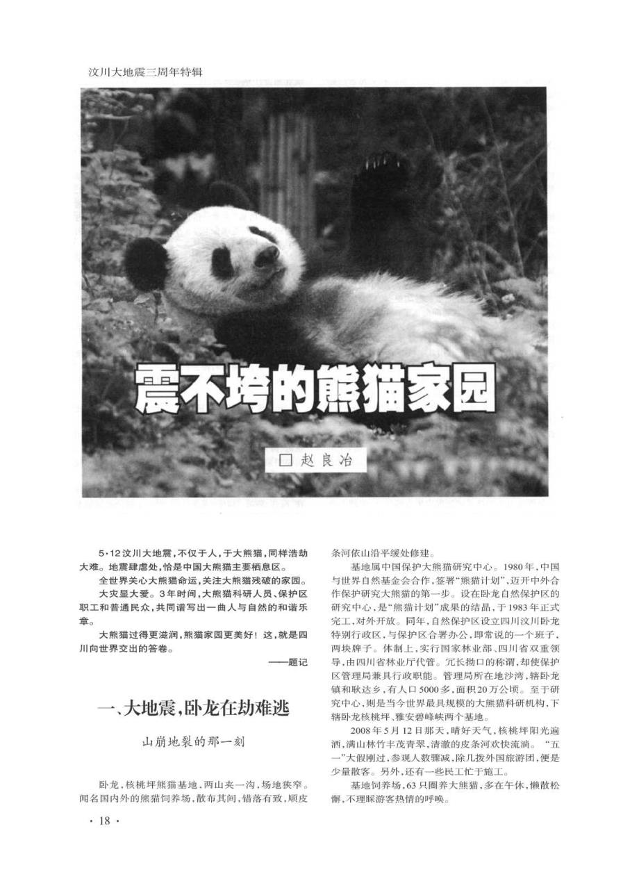 震不垮的熊猫家园_第1页