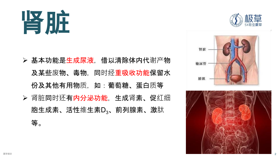 慢性肾脏病课件资料_第2页