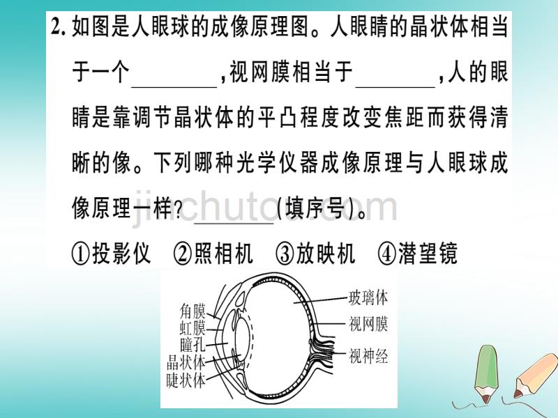 山东省菏泽市东明县2017-2018八年级物理下学期第一次月考试题（pdf）教科版_第2页