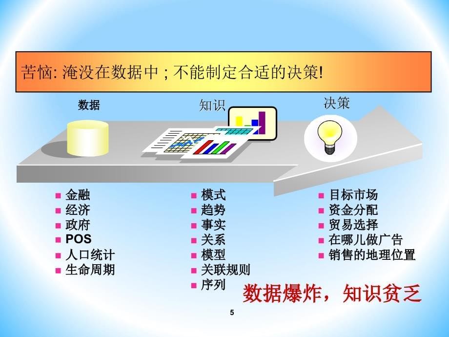 客户数据挖掘资料_第5页