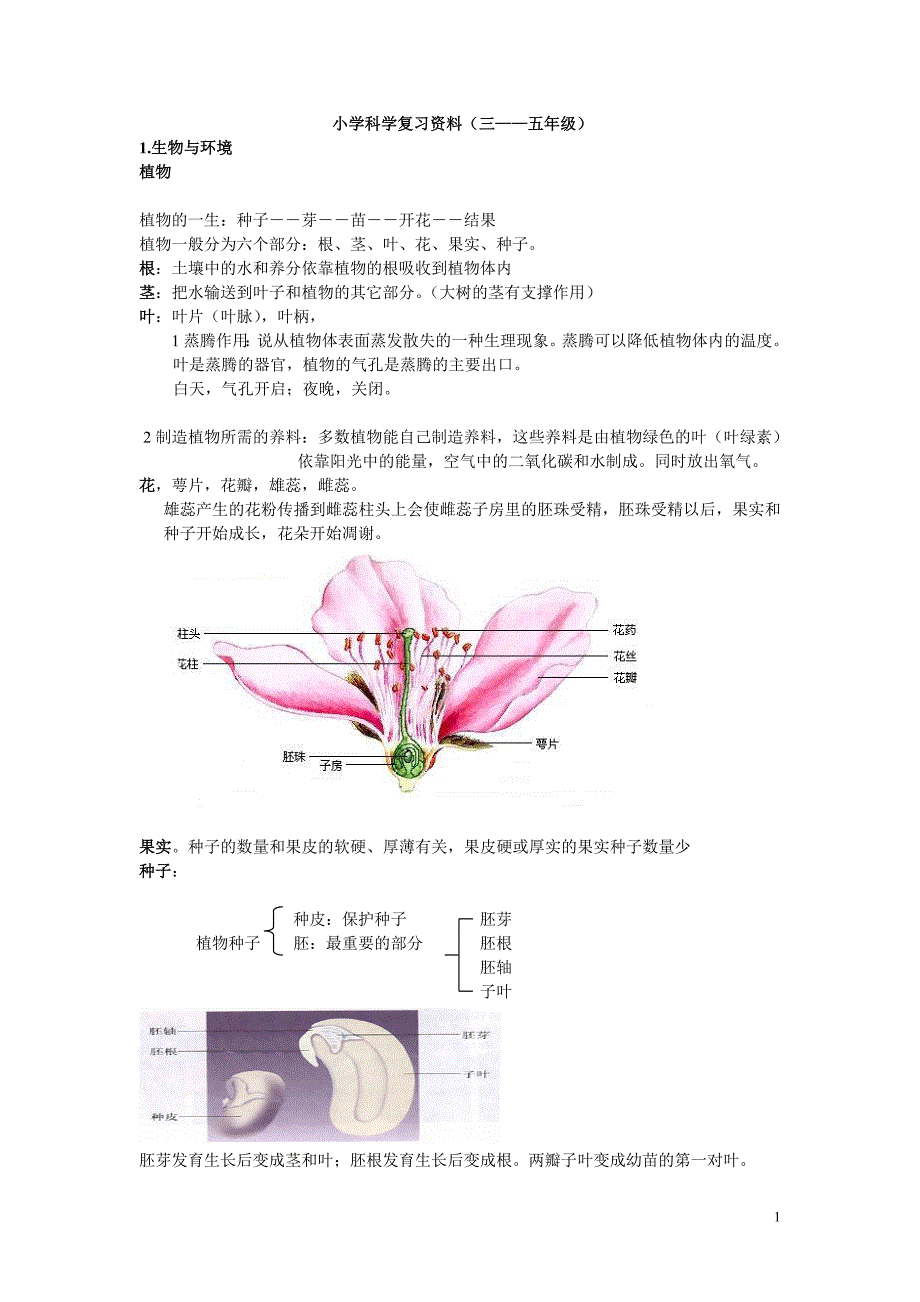 教科版小学科学毕业总复习提纲资料_第1页